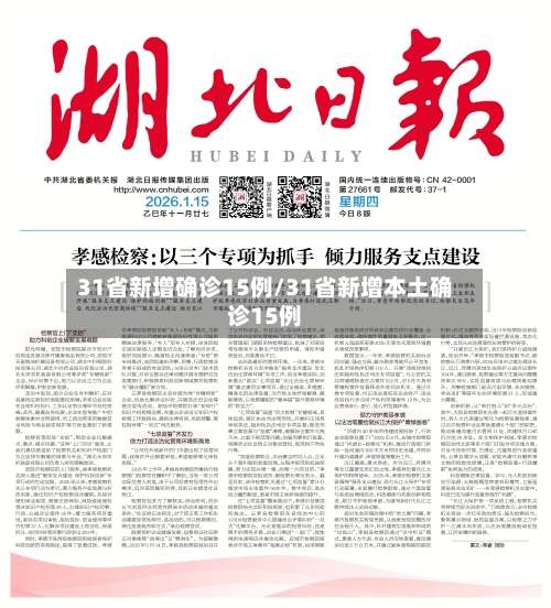 31省新增确诊15例/31省新增本土确诊15例
