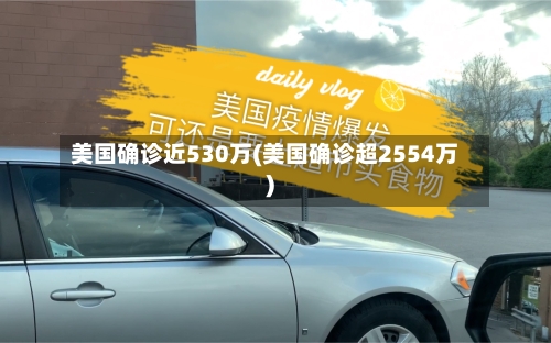 美国确诊近530万(美国确诊超2554万)