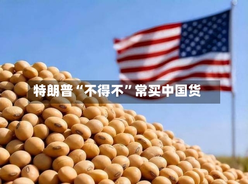 特朗普“不得不”常买中国货