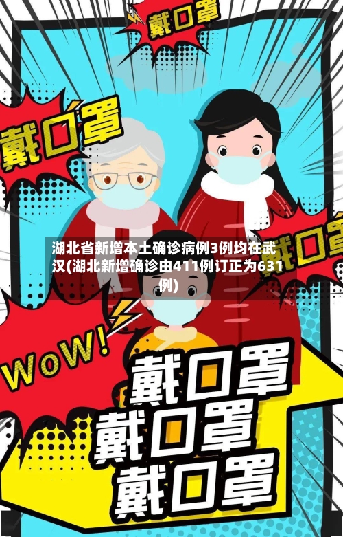 湖北省新增本土确诊病例3例均在武汉(湖北新增确诊由411例订正为631例)